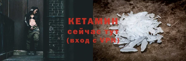 крисы Алексин