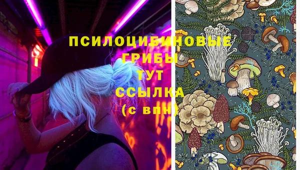 крисы Алексин