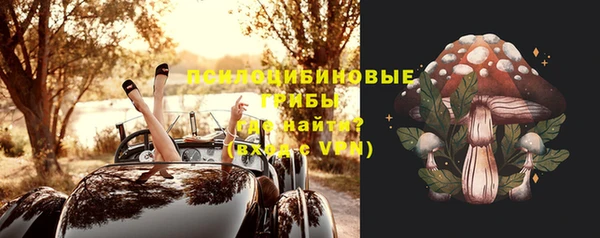 крисы Алексин