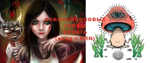 крисы Алексин