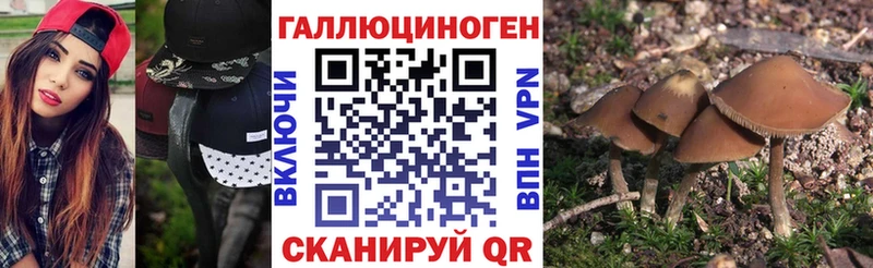 Псилоцибиновые грибы ЛСД  Игарка 